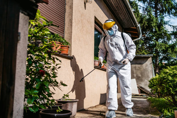Insect Control in East Village, CT