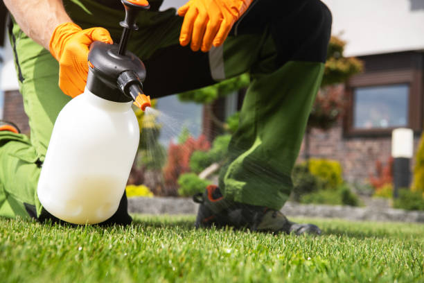 Best Emergency Pest Control  in East Village, CT