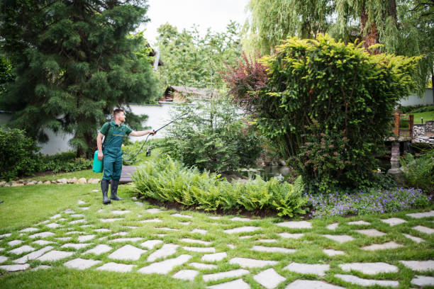 Best Pest Inspection Near Me  in East Village, CT