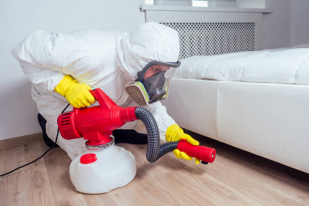 Best Pest Control Near Me  in East Village, CT
