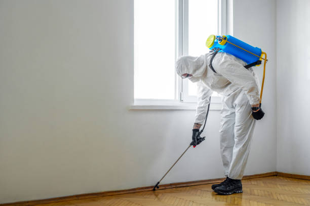 Best Termite Control Services  in East Village, CT