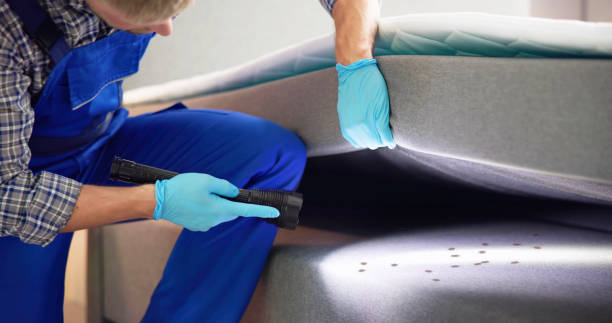 Best Emergency Pest Control  in East Village, CT