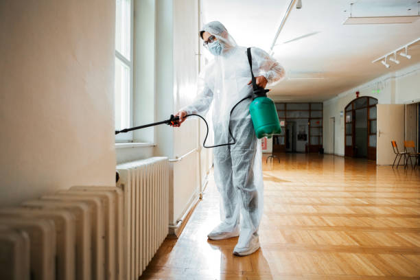Best Bed Bug Extermination  in East Village, CT